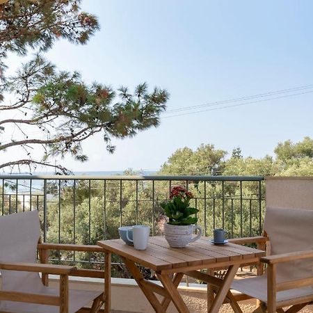 Alexandros Maisonettes & Apartments Nea Moudania Ngoại thất bức ảnh